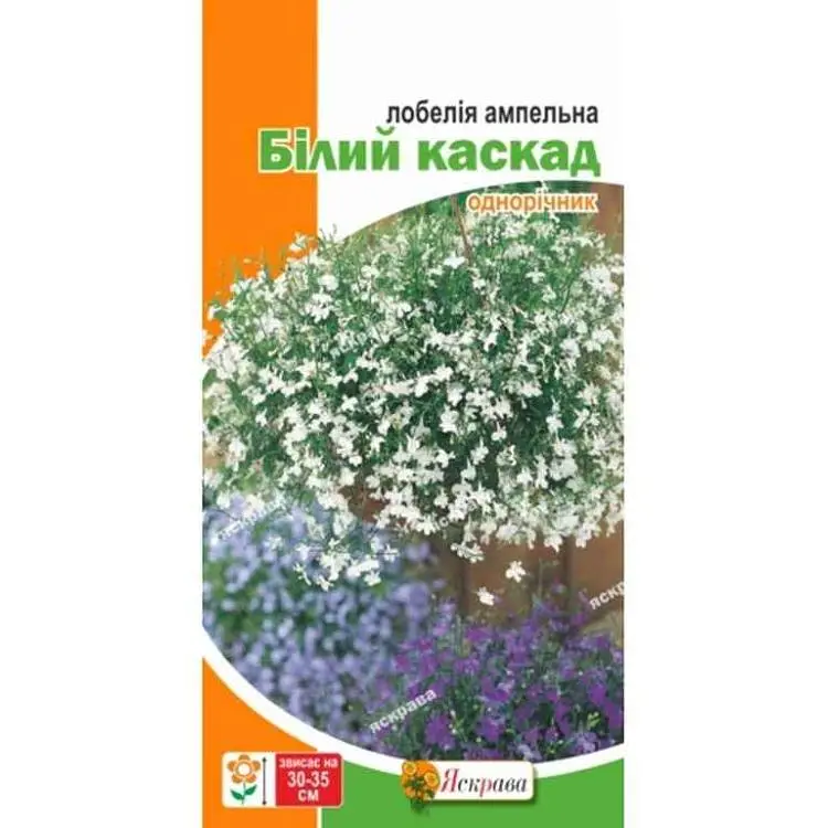 Лобелія ЯСКРАВА ампельна Білий каскад (20 пачок) 0,1г