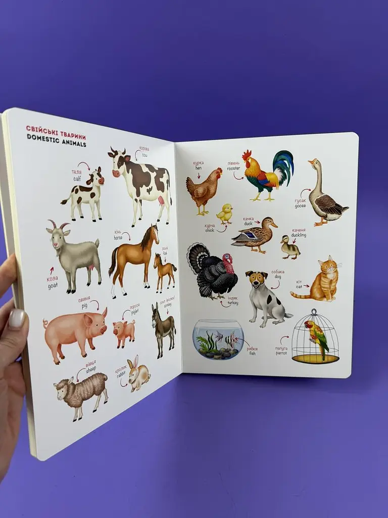 Книга з аудіо. Мої перші англійські слова. Я і мій дім С2047002У - фото 2