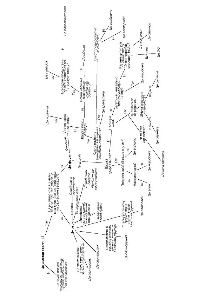Фрукти проти овочів. Чому кавун — не ягода, а томат — це фрукт - фото 12