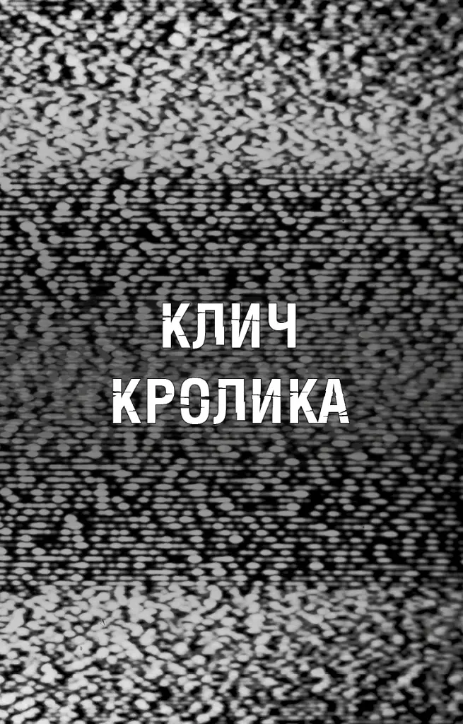 Жахастики Фазбера. Клич кролика. Книга 5 - фото 5