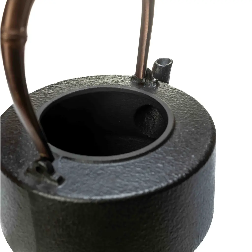 Тецубін Newtea Притулок дракона молотковий візерунок 1200 мл - фото 8