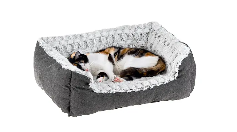 Лежак для собак і котів Ferplast Sweetie 45 зі штучним хутром сірий 48x37x16 см 81064499 - фото 9