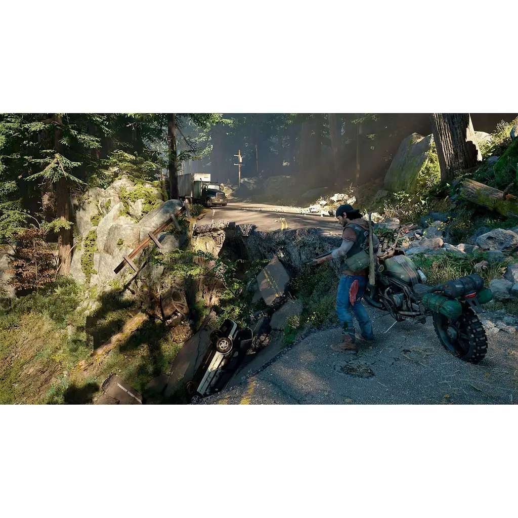 Игра Days Gone для PS4 (RU) [80106] - фото 8