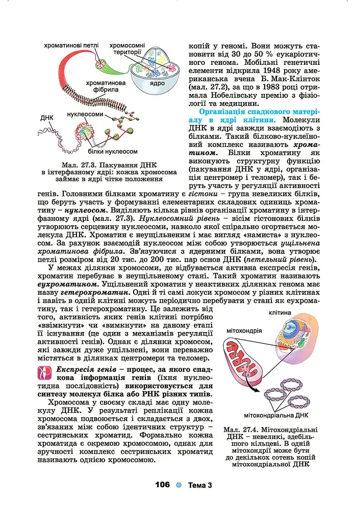Біологія і екологія 10 клас - фото 5