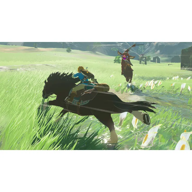 Игра Games Software Legend of Zelda: Breath of the Wild Switch - фото 8