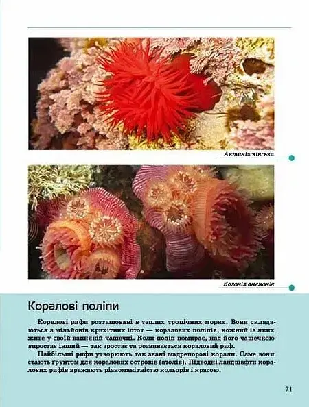 Комахи та інші - Тетяна Жабська - фото 4
