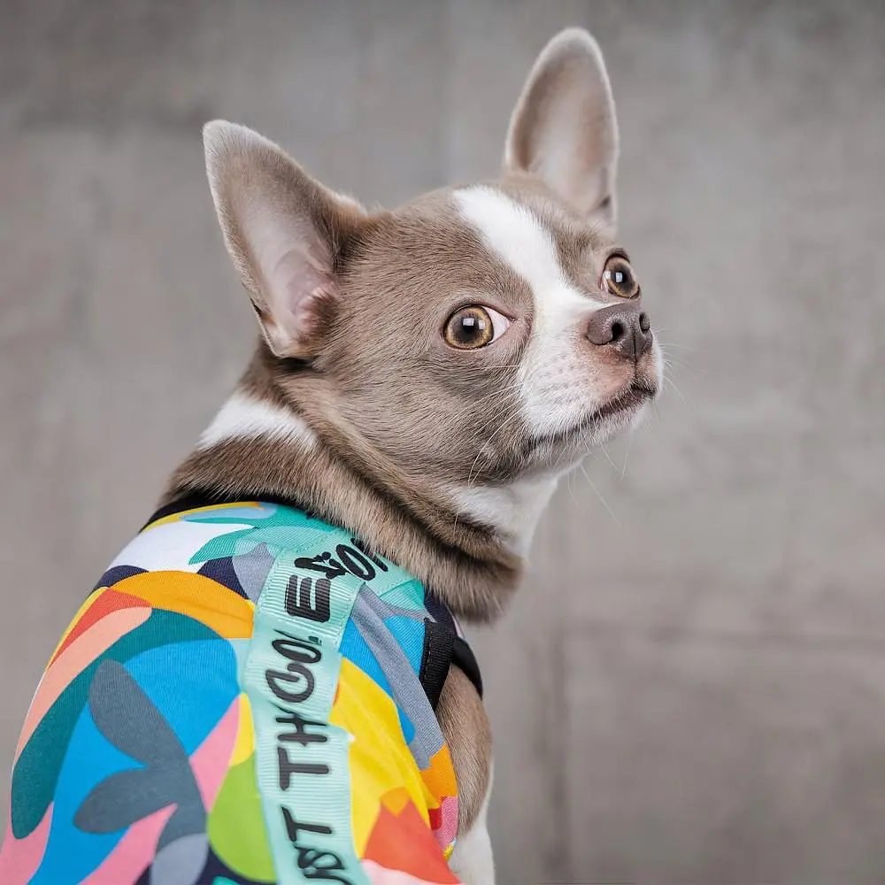 Майка-борцовка Pet Fashion Cool для собак, розмір XS, з принтом - фото 4
