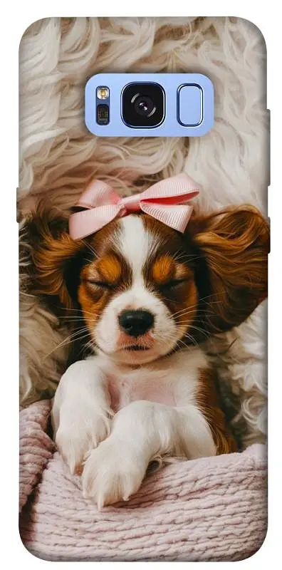TPU чохол Demsky Sleepy spaniel для Samsung G950 Galaxy S8