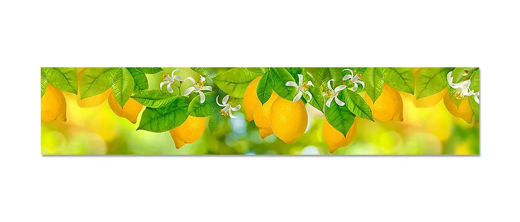 Кухонний фартух Лимони вінілова наклейка ПВХ цитруси фрукти Жовтий 60х300 см Happy Pocket Z180755 - фото 7