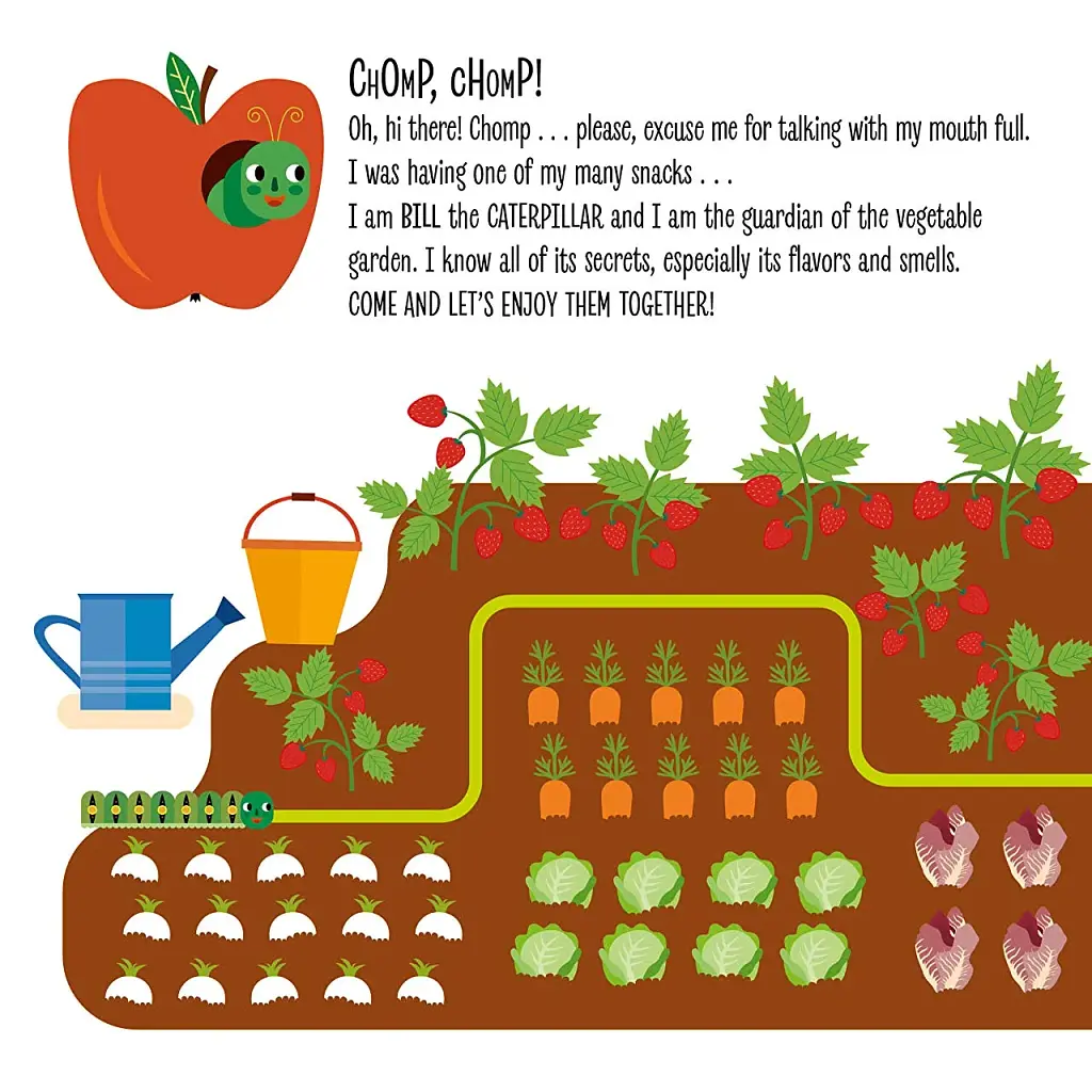 My First Book of the Vegetable Garden. Montessori: A World of Achievements - фото 3
