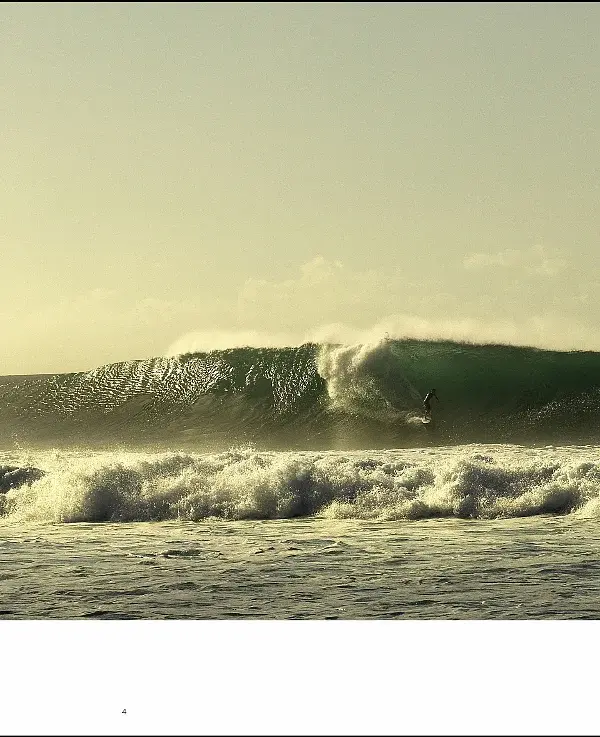 Waves. Pro Surfers and Their World - фото 6