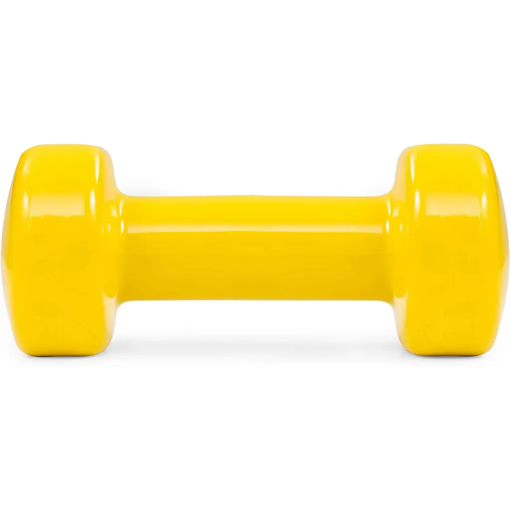 Гантели для фитнеса Hop-Sport виниловые круглые HS-V030DC 2х3кг - фото 3