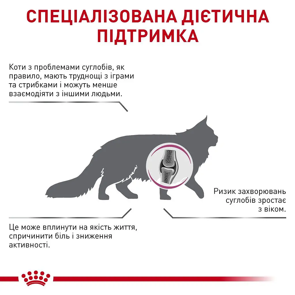 Сухий лікувальний корм для кішок при захворюваннях опорно-рухової системи Royal Canin Cat Mobility Feline, 2 кг (3946020) - фото 2