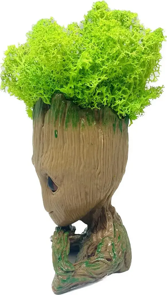 Кашпо горщик зі стабілізованим мохом Грут Groot G3 - фото 2