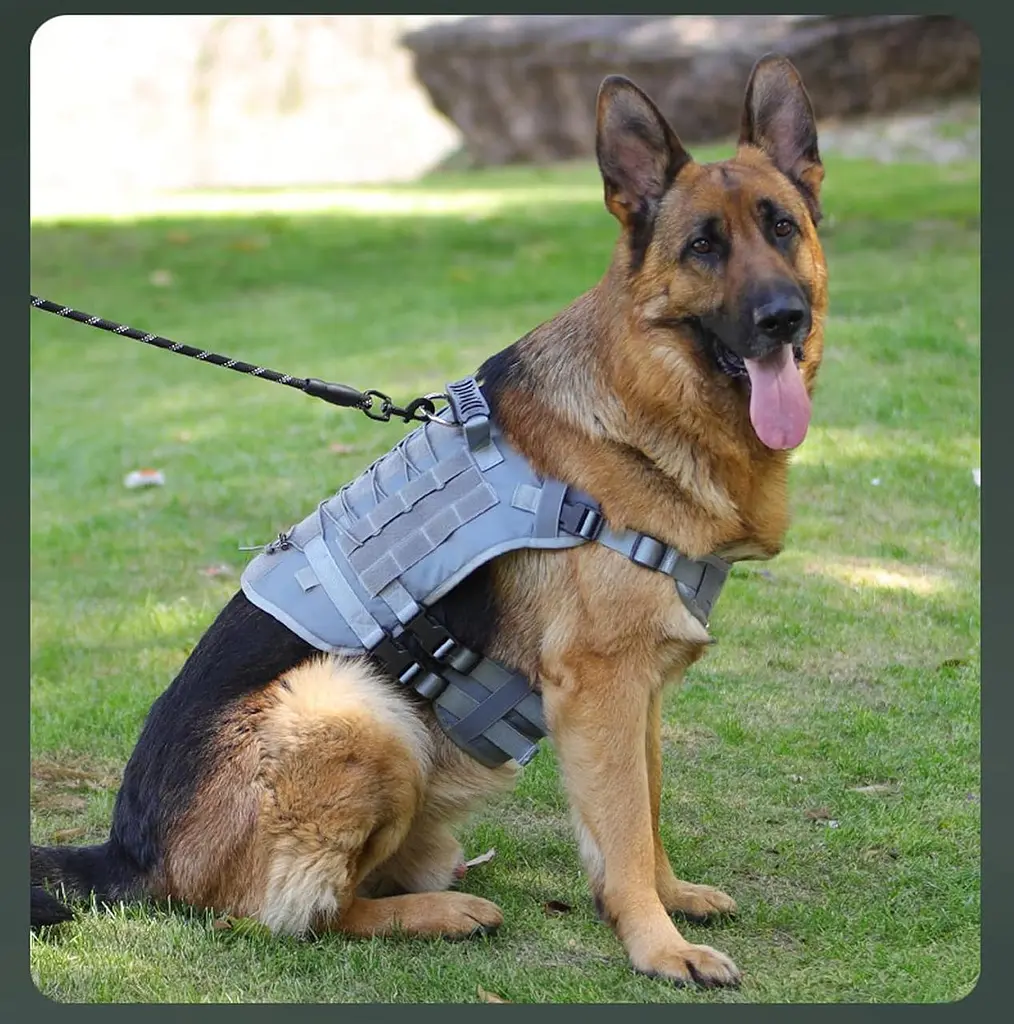 Шлейка для собак Vest, тактичний жилет з ручкою і системою MOLLE, регульований, Сірий L - фото 5