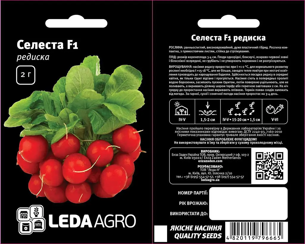 Редиска Селеста F1 2 г Enza Zaden Leda Agro - фото 2