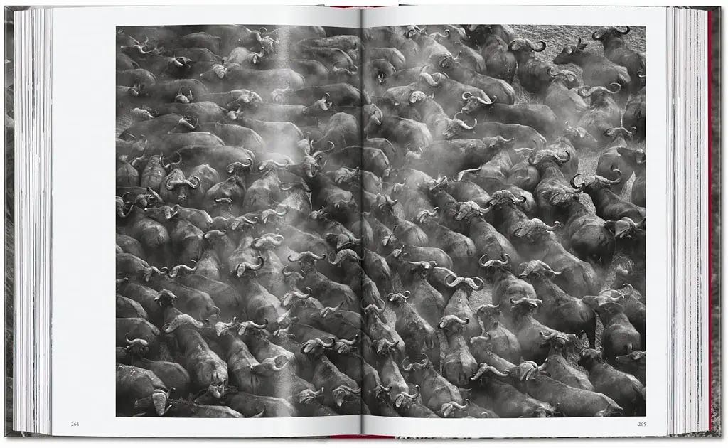 Sebastiao Salgado. Genesis. 45th Edition - фото 13