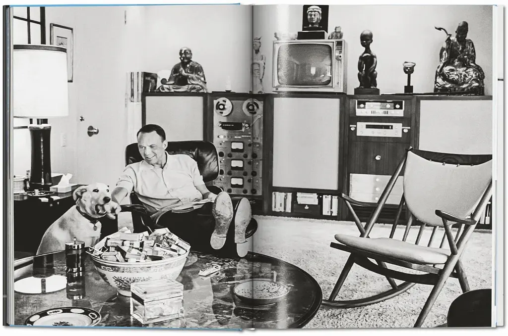 Frank Sinatra Has a Cold - Філ Стерн - фото 2