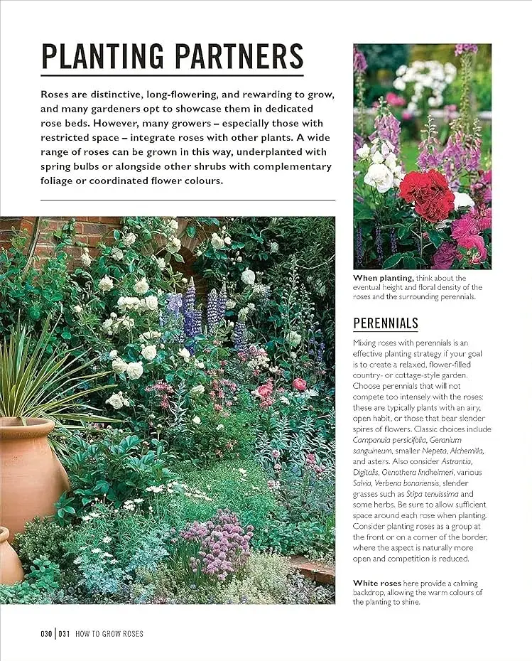 Grow Roses. Essential Know-how and Expert Advice for Gardening Success - фото 7