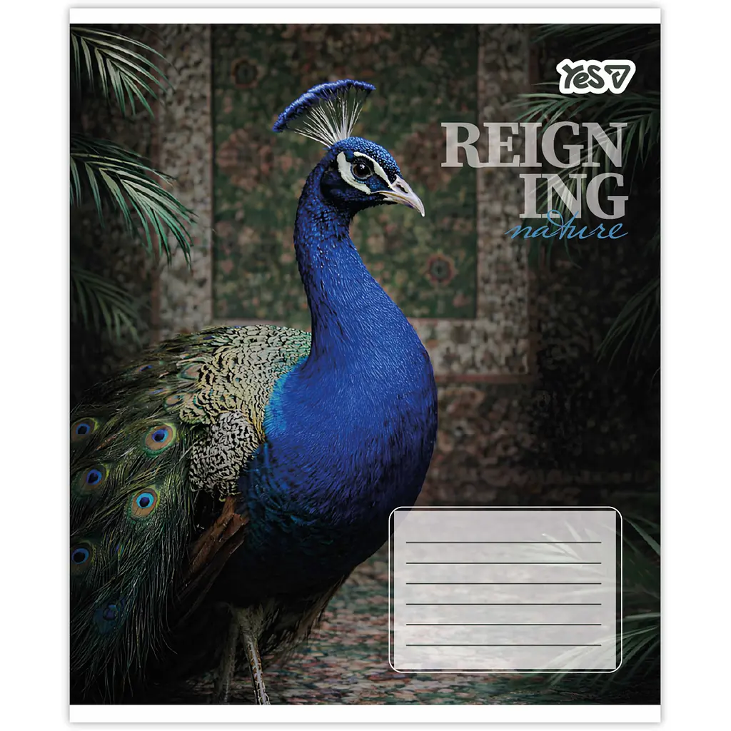 Зошит шкільний Yes Reign ing А5 24 аркуші лінія 20 шт. (769093) - фото 2