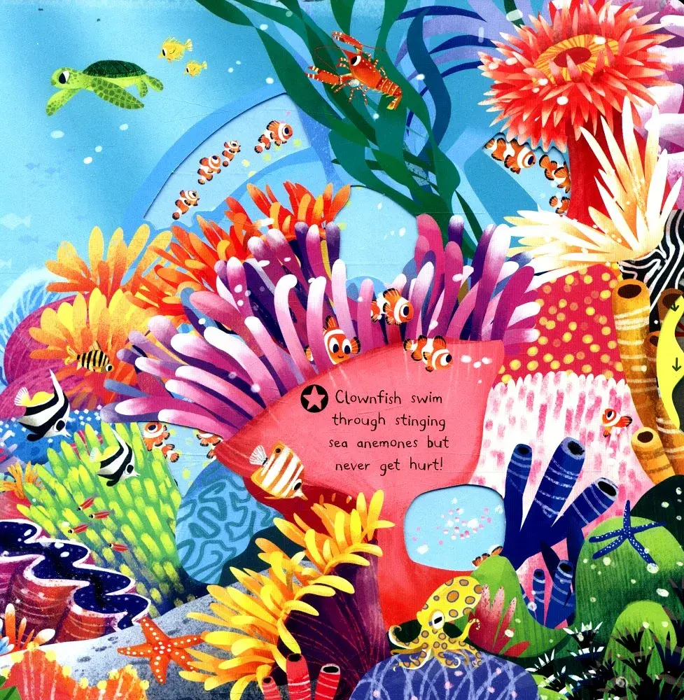 First Explorers. Sea Creatures - фото 2