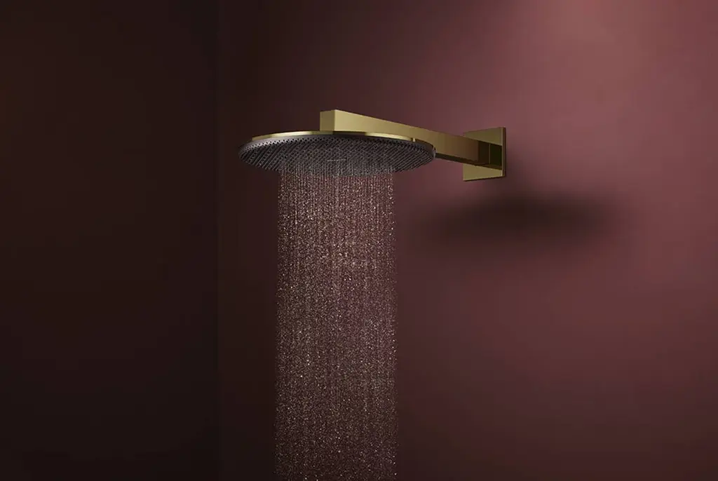Верхній душ Hansgrohe Raindance Alive S 300 2jet EcoSmart з тримачем polished gold optic 24541990 - фото 3
