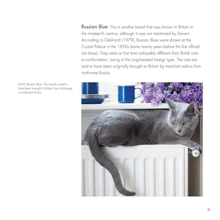 The British Museum Book of Cats - фото 5