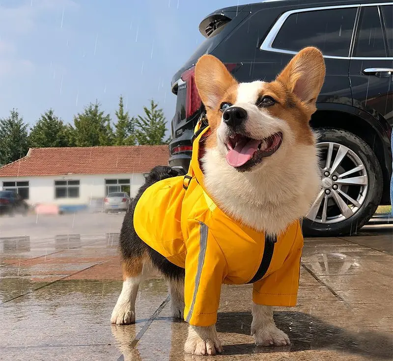 Світловідбивний дощовик для собак Derby R57 Yellow 2XL - фото 4