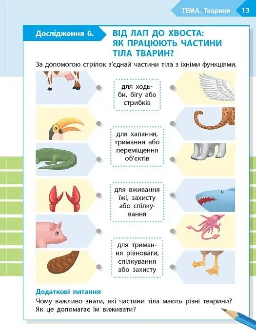 STEM-Старт. Зошит для учня. Наука про життя. 2 клас - фото 6