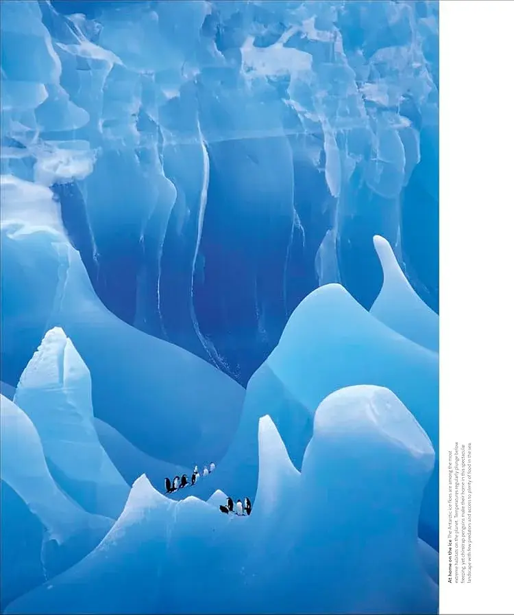 Animal Behaviour: Stories of Instinct, Intelligence and Adaptation - фото 2