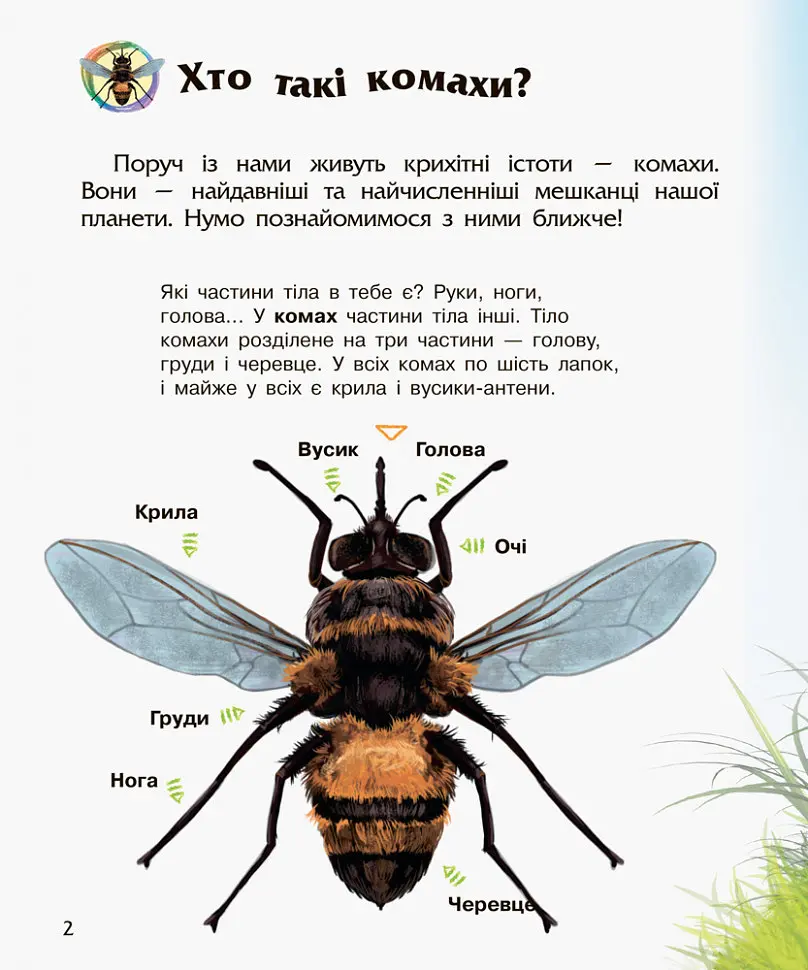 Дитяча енциклопедія про комах 614014 для дошкільнят - фото 7