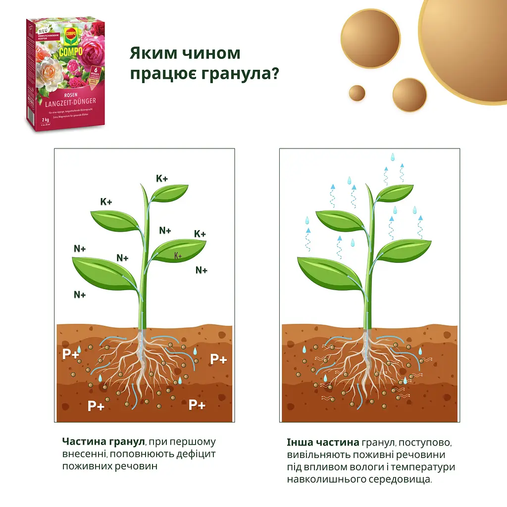 Тверде добриво тривалої дії для троянд COMPO 2 кг - фото 9