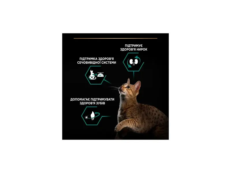 Сухий корм для кішок Purina Pro Plan Sterilised Adult 1+ Renal Plus Для дорослих стерилізованих З індичкою 400 г (7613033564673) - фото 5
