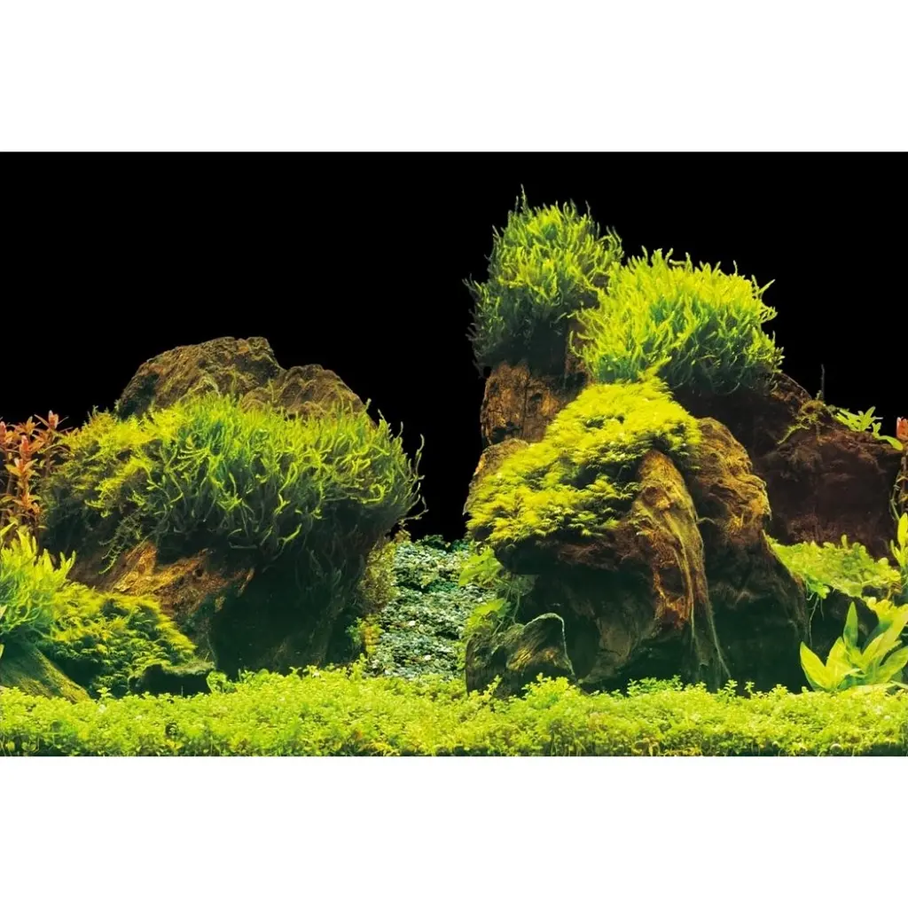 Акваріумний задній фон Aqua Nova Скали/Рослини 60x30 см (ROCK/PLANTS S) - фото 3