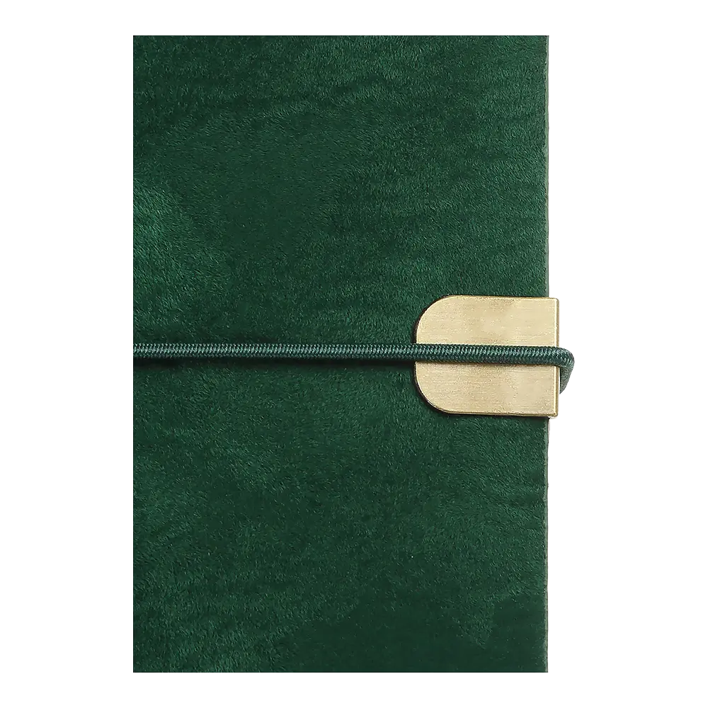 Щоденник недатований Buromax Velour A5 штучна шкіра 336 сторінок зелений (BM.20770-04) - фото 6