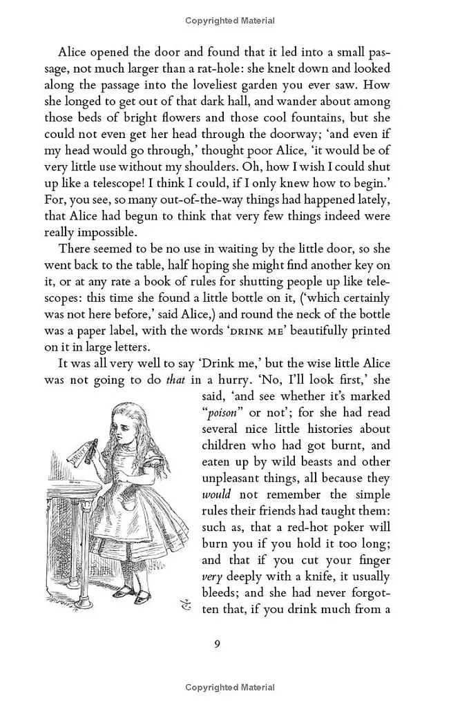 Alice's Adventures in Wonderland and Through the Looking Glass - фото 14