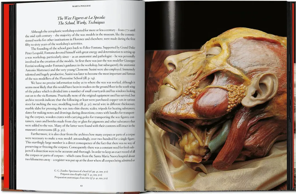 Anatomical Waxes. 45th Edition - фото 4