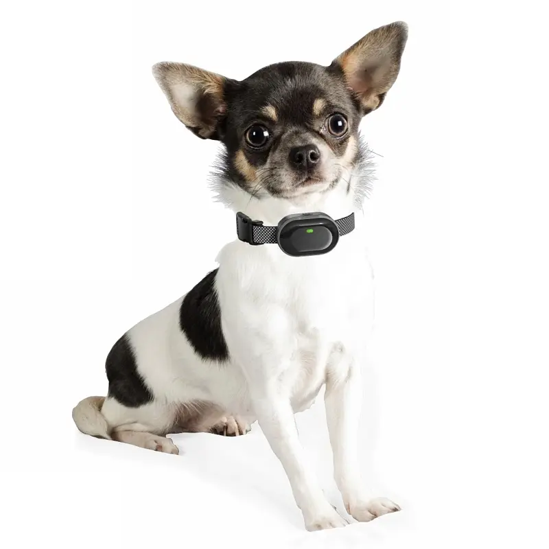 Електронний нашийник для маленьких собак дресирувальний з трьома видами впливу DOBE DB900X (101051)Электронный ошейник для маленьких собак дрессировочный с тремя видами воздействия DOBE DB900X (101051) - фото 5
