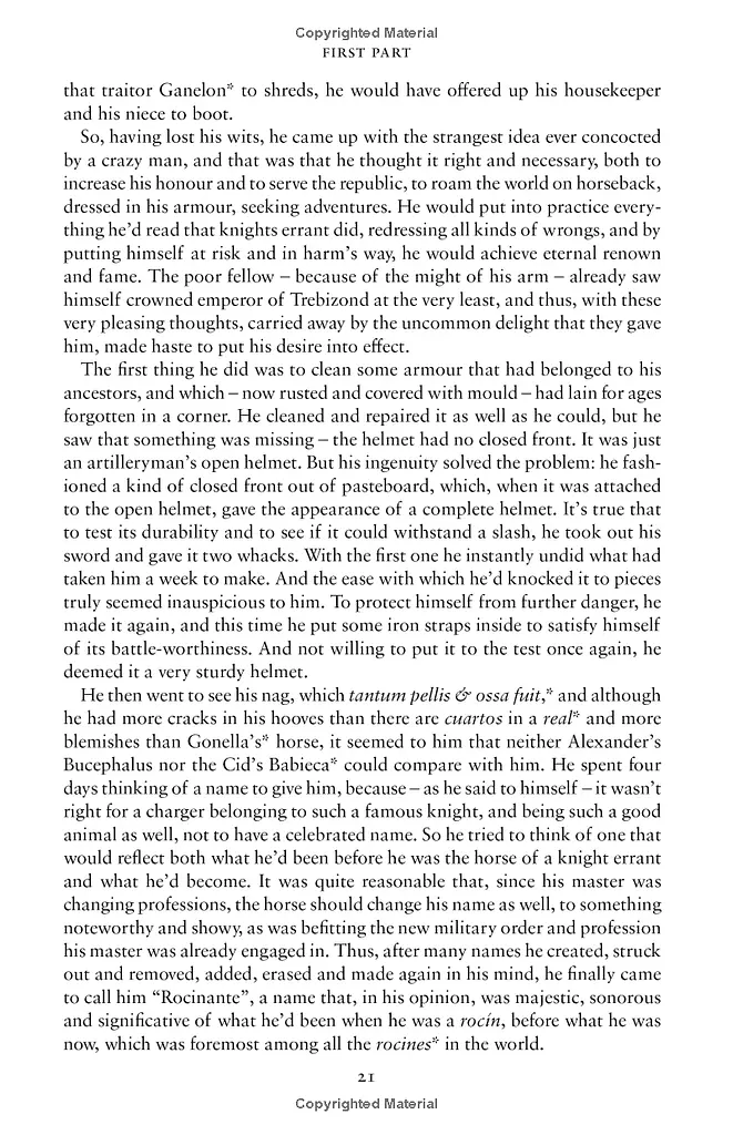 Don Quixote - фото 5