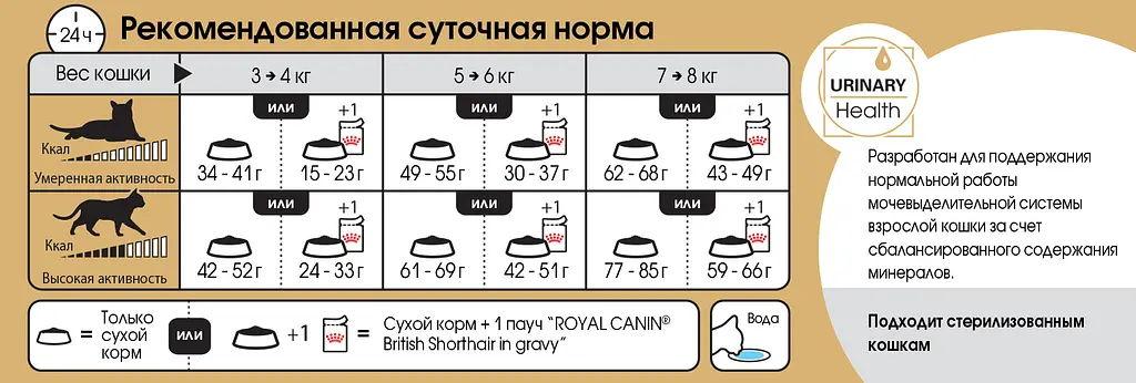 Сухий корм для котів породи британська короткошорстна Royal Canin British Shorthair Adult 10 кг 2557100 - фото 2