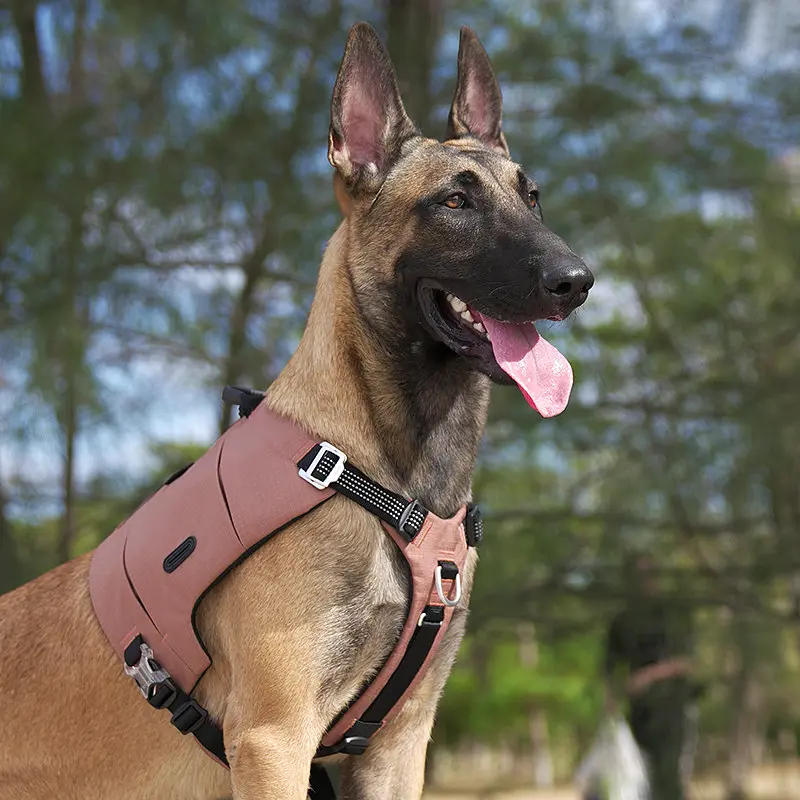 Шлейка для собак Truelove TLB2251 світловідбивна, з водонепроникної тканини Cordura, регульована Коричневий, S - фото 5