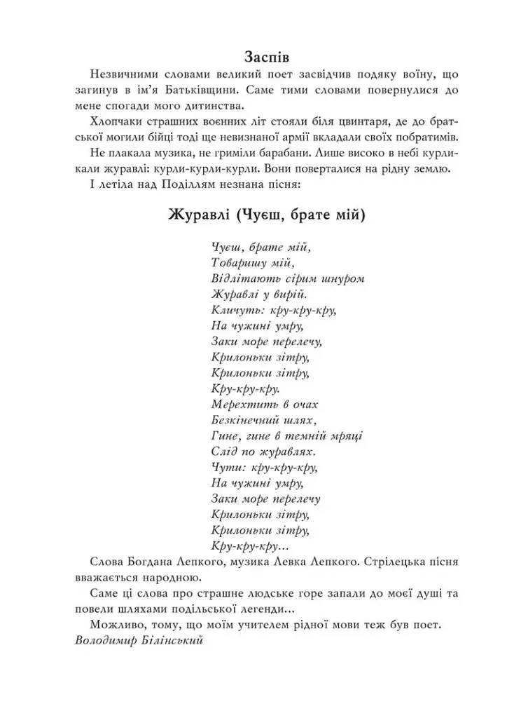 Журавлі. Переосмислення новітньої історії України - Володимир Білінський - фото 7