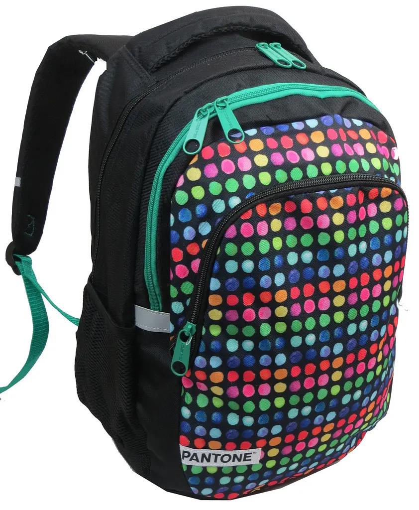 Рюкзак молодіжний Paso 00-699PAN 22L Різнокольоровий - фото 2