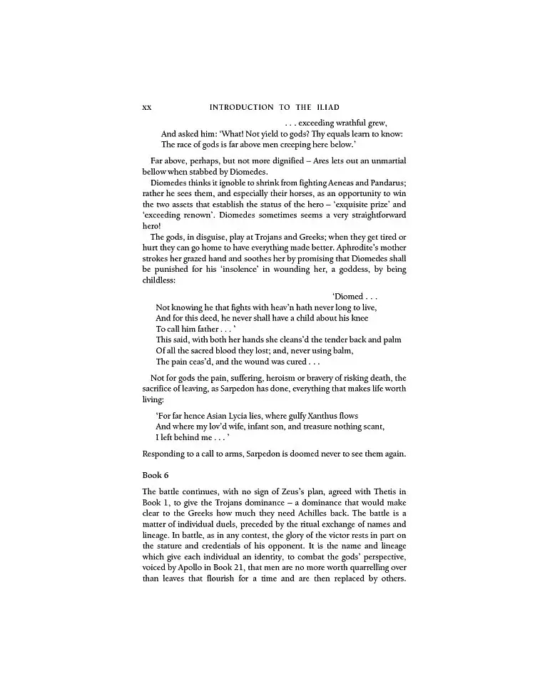 The Iliad and the Odyssey - фото 12