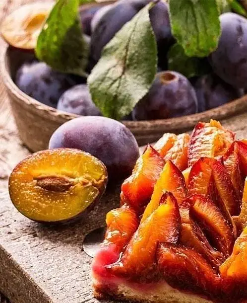Саженец Agro-Market Слива Любимая Султана (летний сорт, средний срок созревания) (39988) 1 шт. в упаковке - фото 3