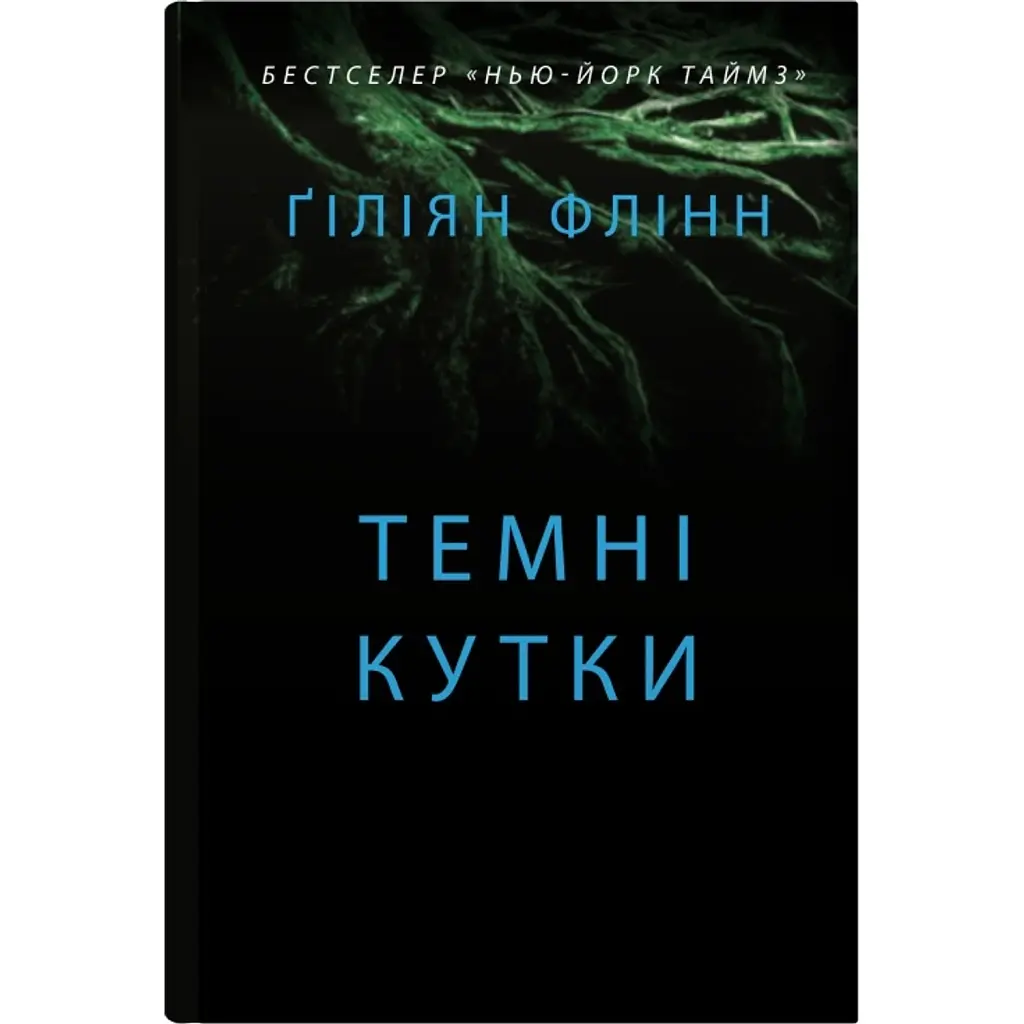 Темні кутки - Гіліян Флінн