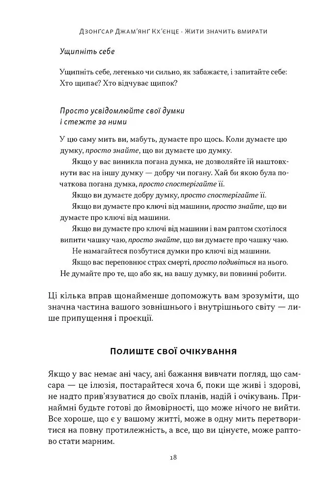 Жити значить вмирати. Як підготуватися до смерті, вмирання і того, що буде далі - Дзонґсар Джам'янґ Кх'єнце - фото 14