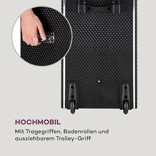 Мобильная акустическая система Auna Pro DisGo Box 2100 DVD (10035201) - фото 8