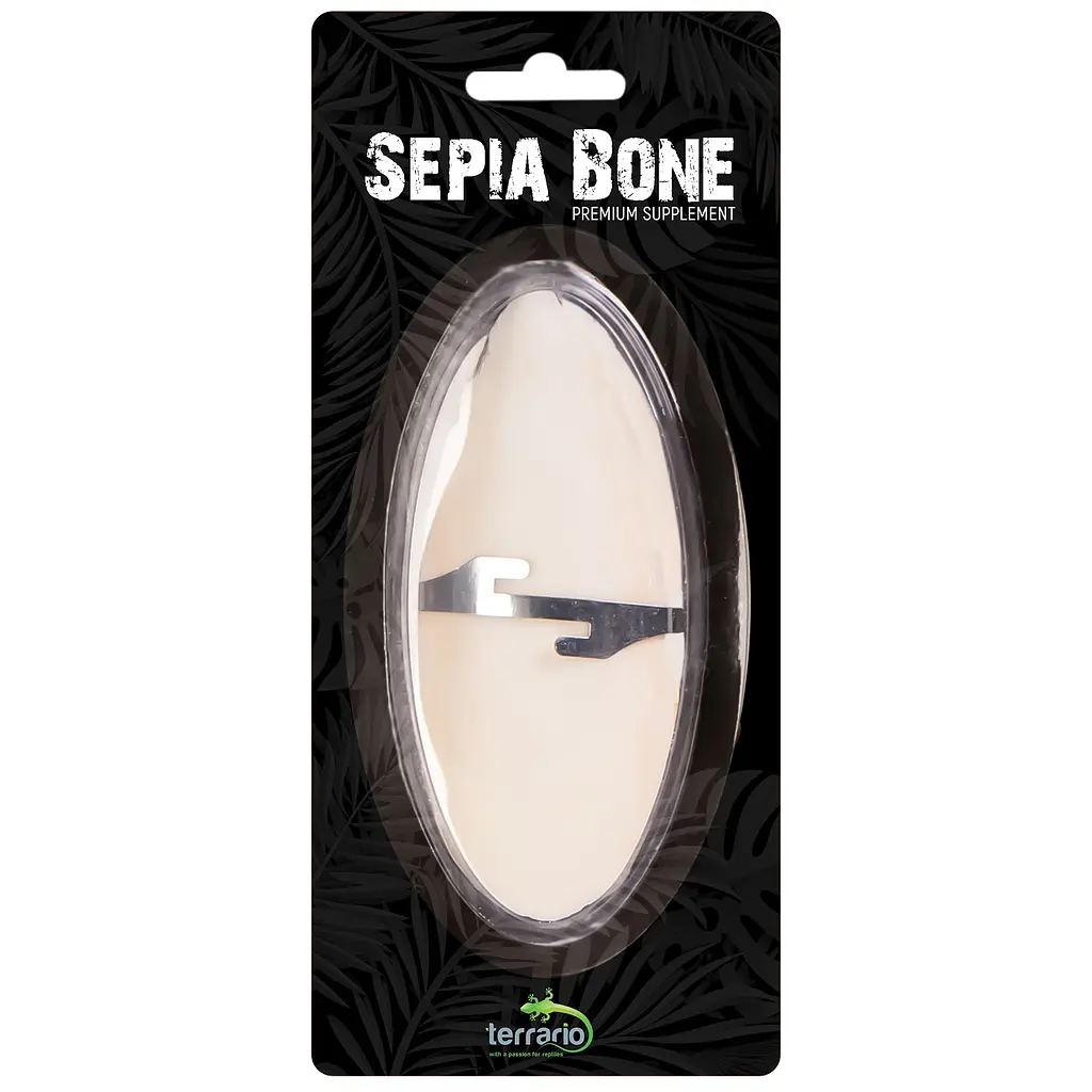 Сепія для черепах, природний вапняк для рептилій Terrario Sepia Bone 10-15см - фото 7
