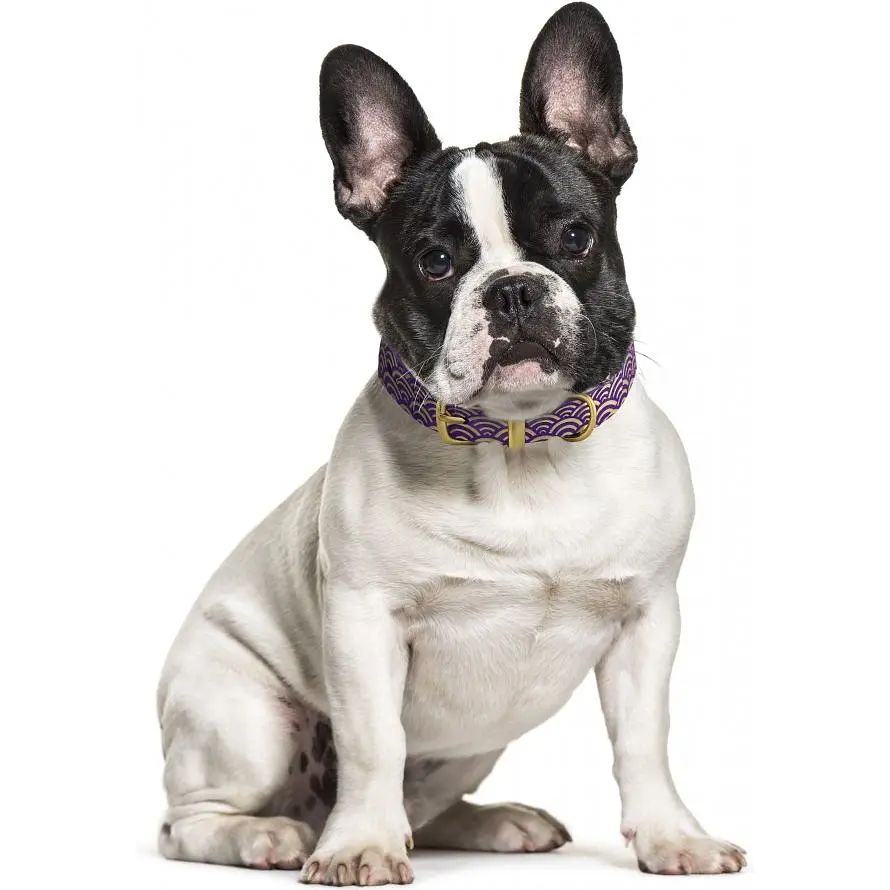 Нашийник для собак BronzeDog Barksi Classic Море шкіряний одинарний з золотим тисненням M 28-36х1.7 см фіолетовий - фото 4